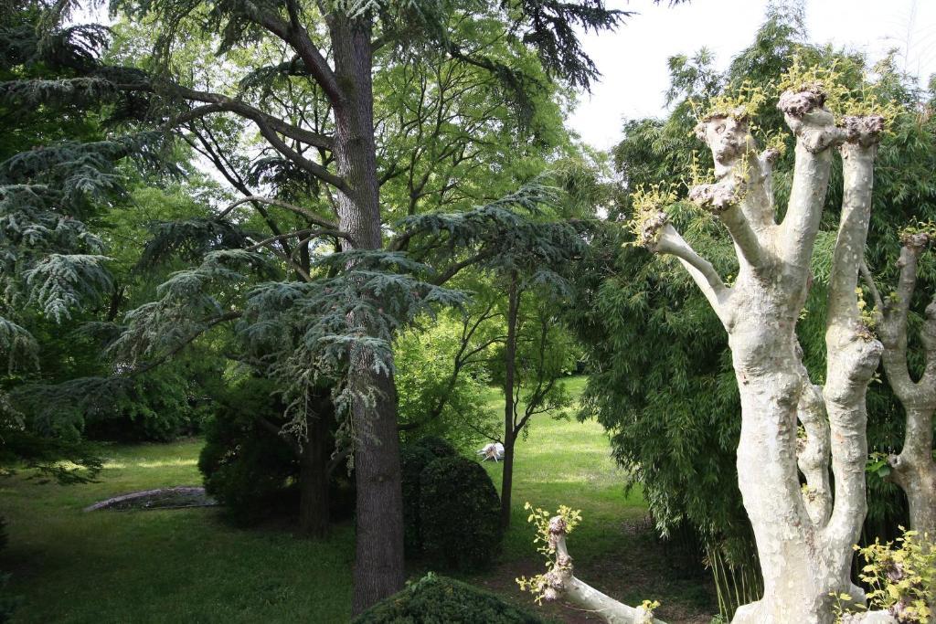 L'Oree Du Chateau Руссильон Экстерьер фото
